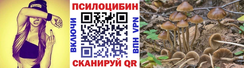 Галлюциногенные грибы Psilocybe наркошоп Бийск