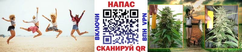 магазин    Бийск  Шишки марихуана сатива 